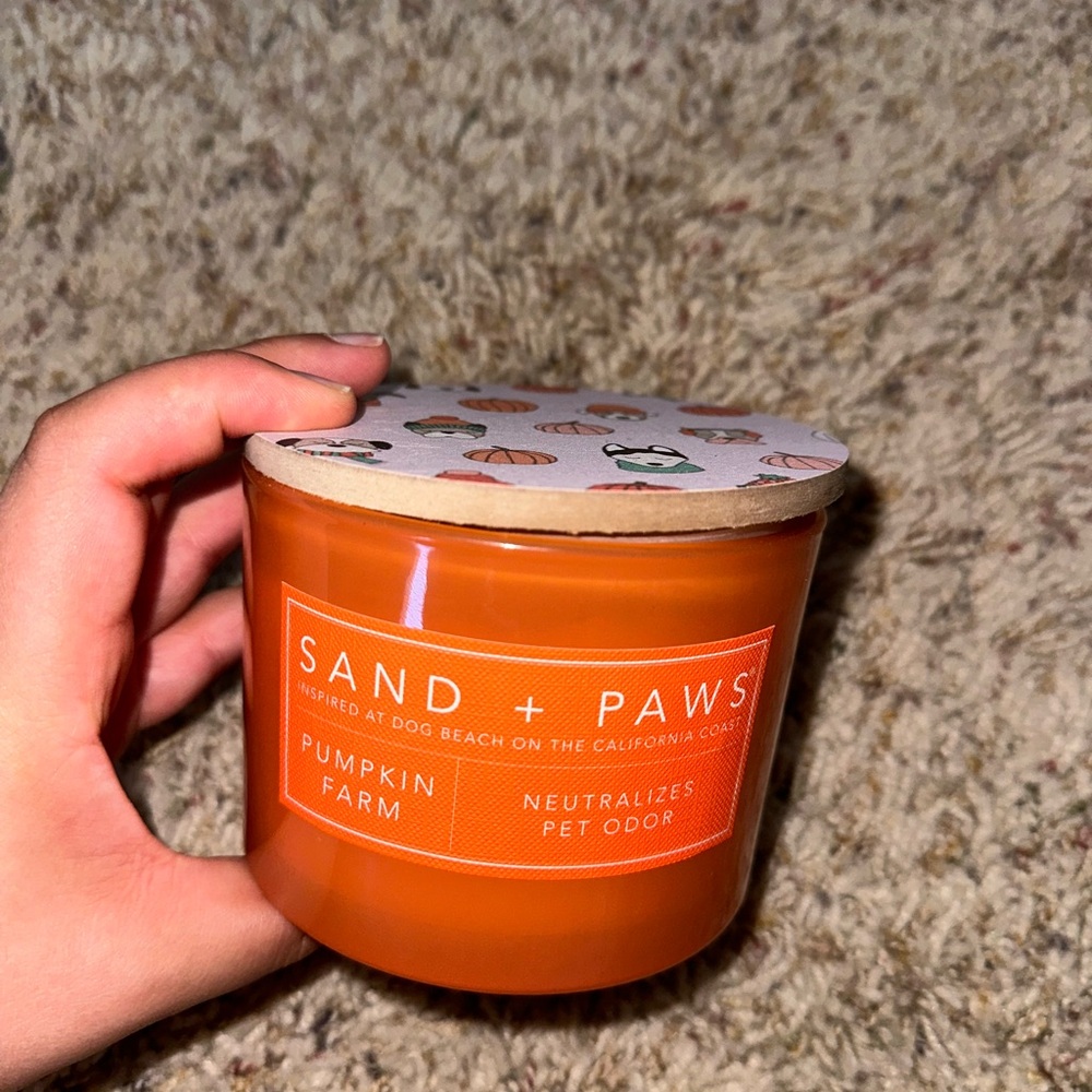 Sand and fog paws 🐾 pumpkin 🎃 farm holiday fall candle - Picture 6 of 9